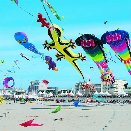 Appartement Perle D'opale T2 Face Balneo-spa Parking Prive Wifi Netflix Hotel&logde 4 Pers